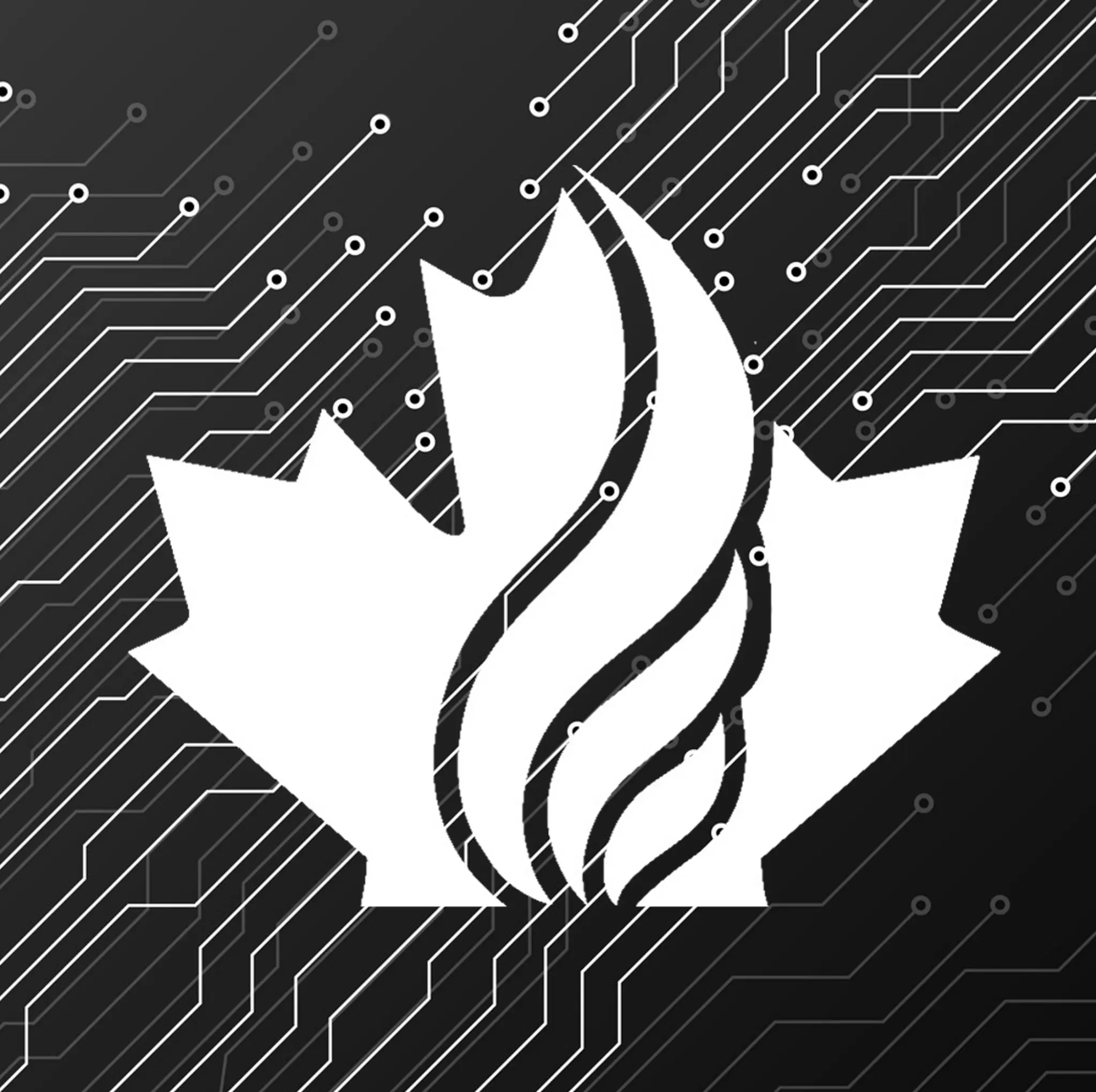 ChemiCan Solutions Team